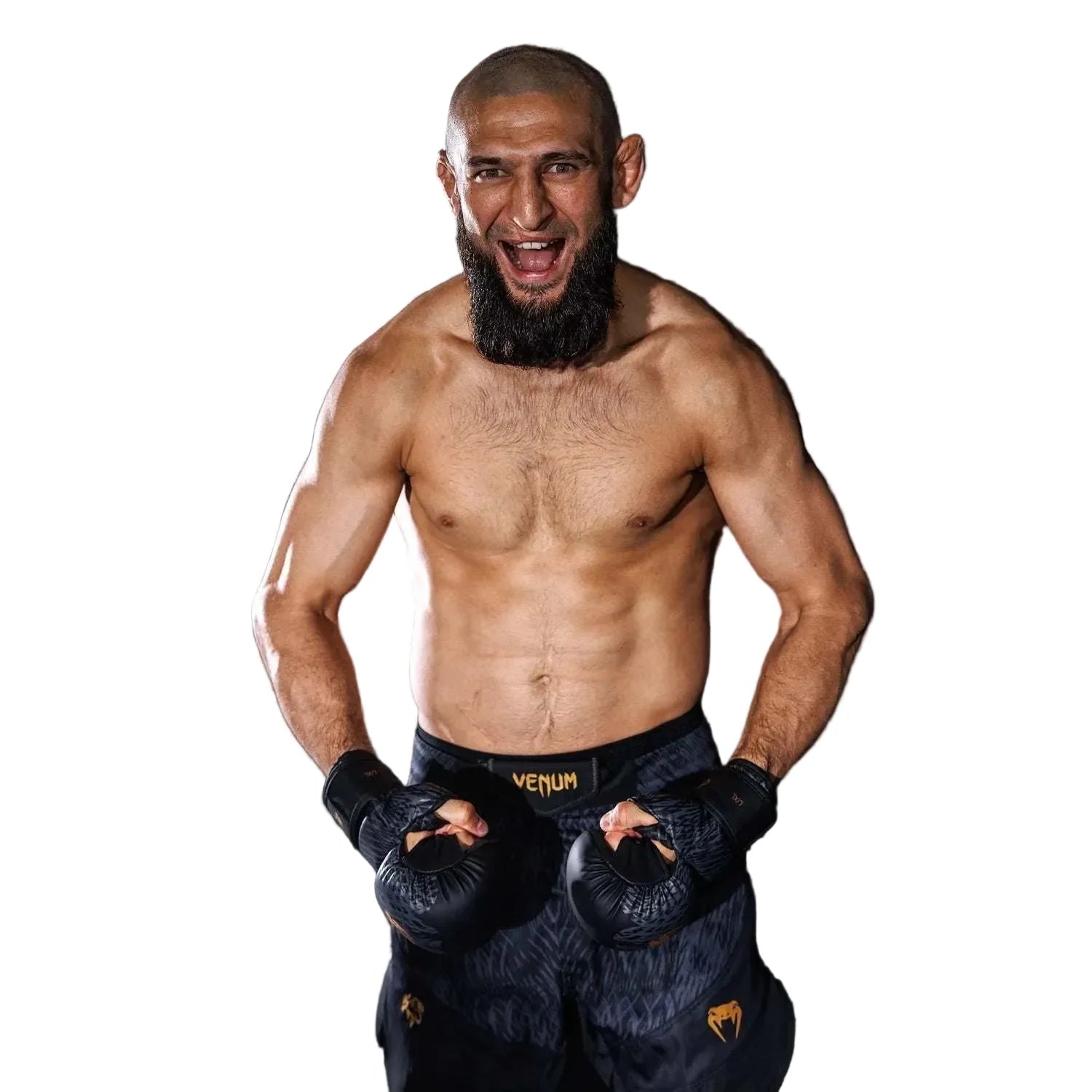 Fightshorts Wild Borz Venum x Chimaev noir et gris pour MMA et sports de combat