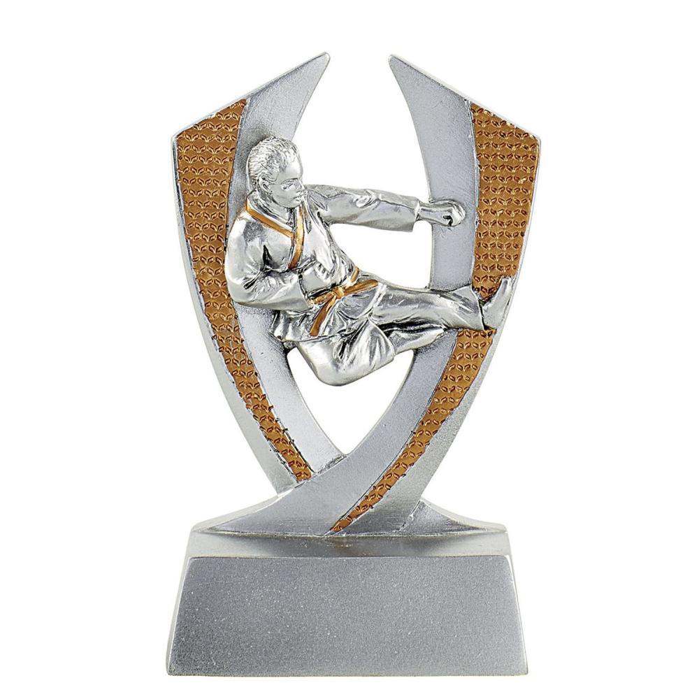 Trophée résine Karaté
